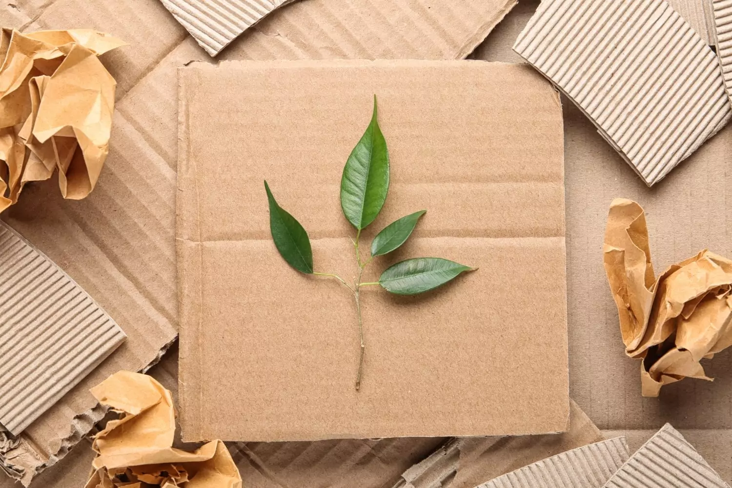 sustainable_packaging